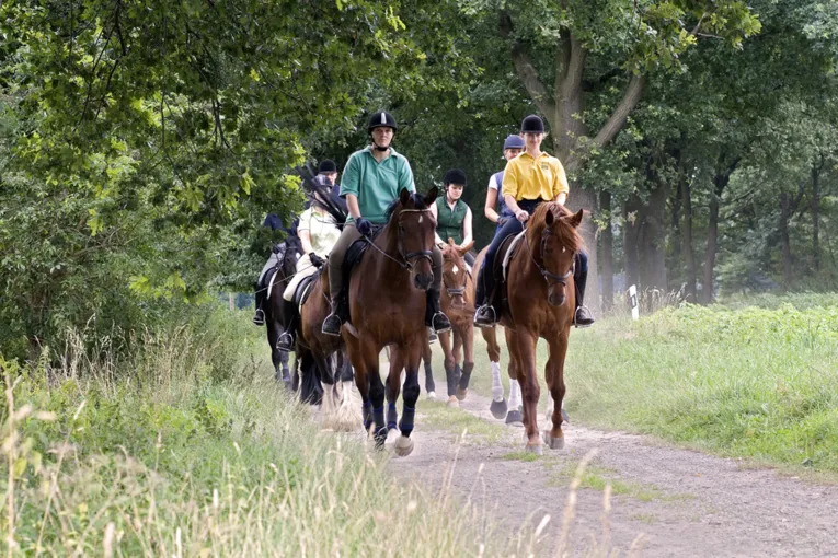 Ausreiten in der Pferderegion